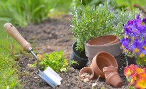 Ferramentas para montar um jardim