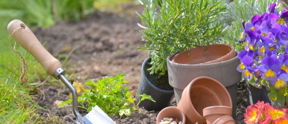 Como montar um jardim prático e funcional? Como montar um jardim prático e funcional?