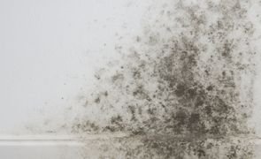 padrao 2025 12 09t091406 431