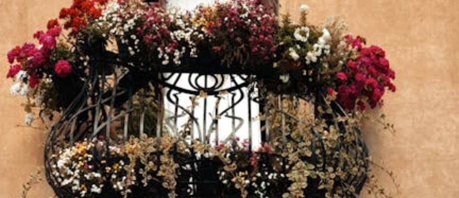 Como decorar varanda pequena com plantas e transformar o espaço em um cantinho verde e aconchegante Como decorar varanda pequena com plantas e transformar o espaço em um cantinho verde e aconchegante